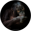 Jonathan B. profile picture